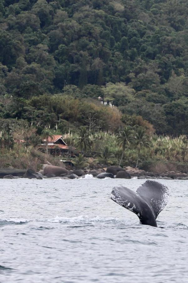 Sol-Lua Bangalo Com Uso Exclusivo Da Piscina Villa Ilhabela Luaran gambar