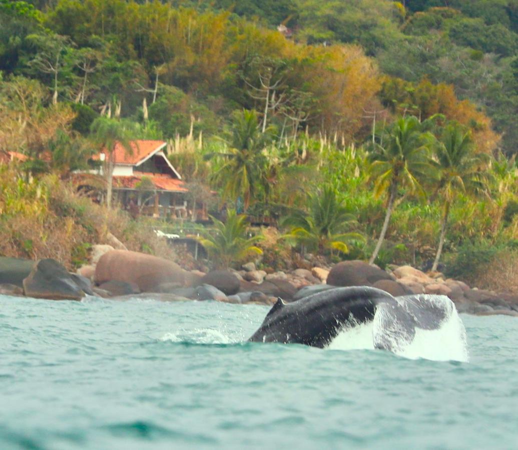 Sol-Lua Bangalo Com Uso Exclusivo Da Piscina Villa Ilhabela Luaran gambar